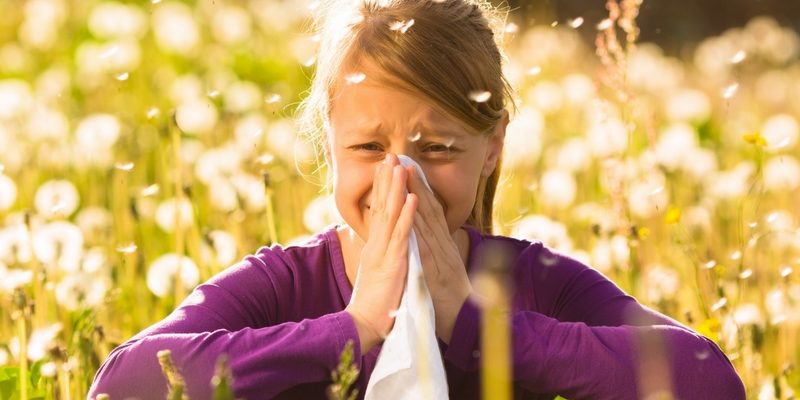 Surviving Allergy Season: 10 Natural Ways to Help